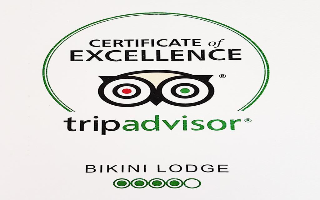 Bikini Lodge (Adults Only) Miami Beach Zewnętrze zdjęcie