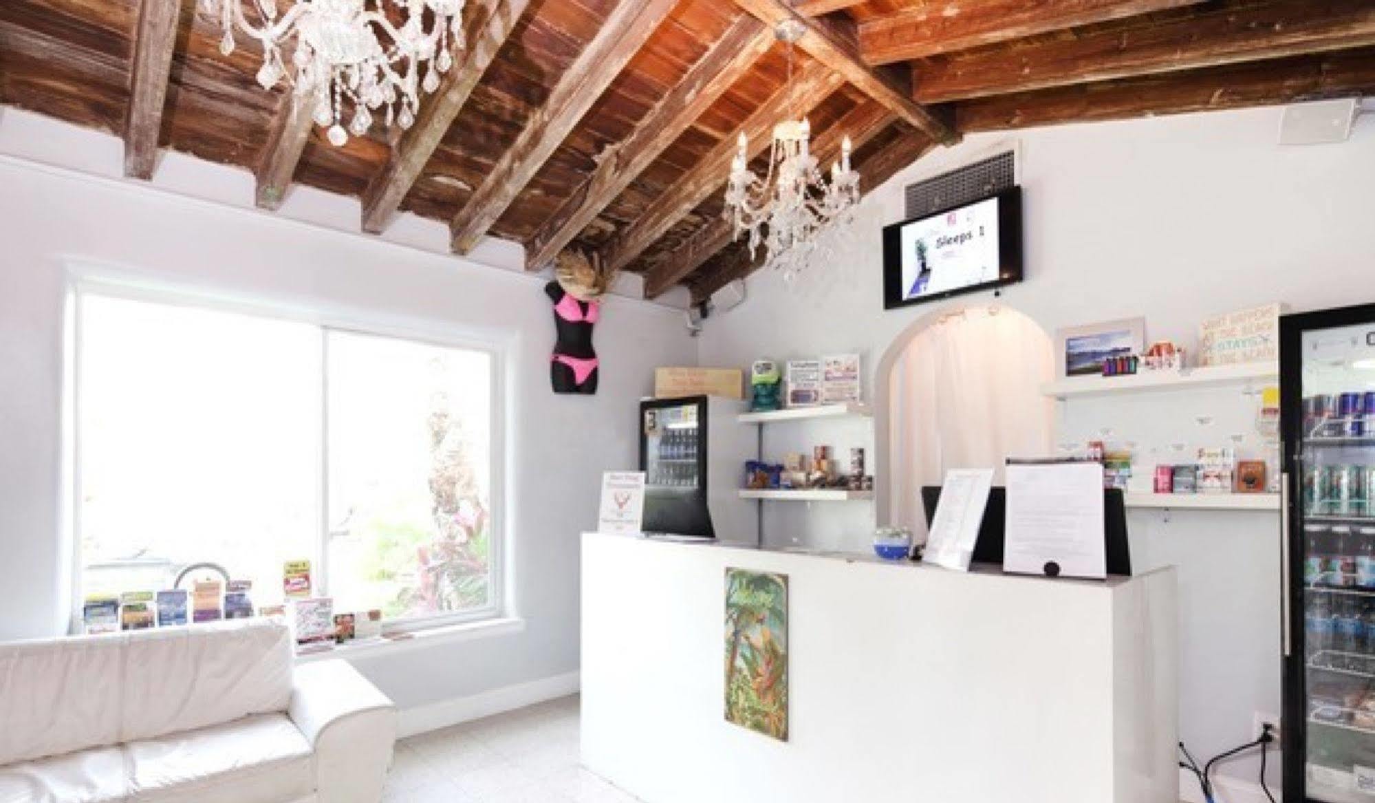 Bikini Lodge (Adults Only) Miami Beach Zewnętrze zdjęcie